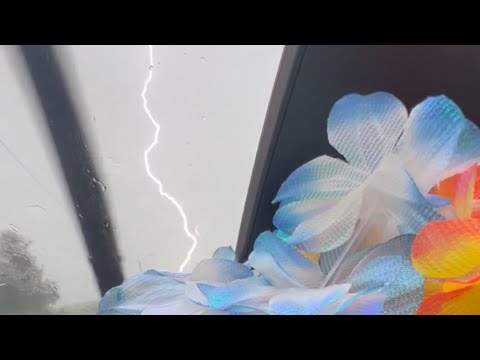 Rain sounds || ASMR