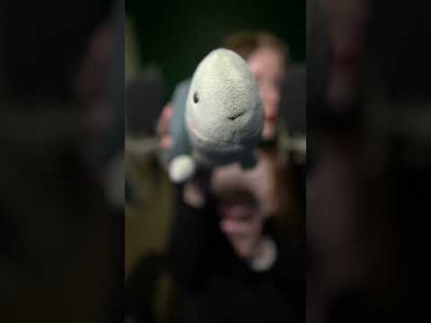 ASMR Kisses w/ Sammy the Kissing Turtle