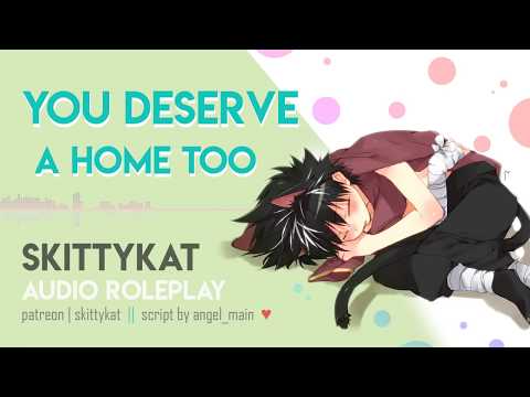Cat Boys & Girls Deserve a Home Too!!