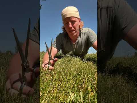 ASMR Grass Haircut #asmr