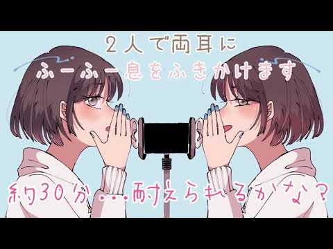 【ASMR】のんさん2人で両耳にふ～ふ～するよ...(30分耐久) [Blowing both ears Sounds (30 minutes) ]