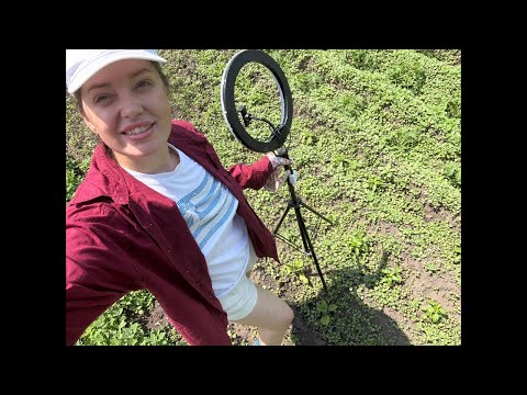 ASMR Cleaning