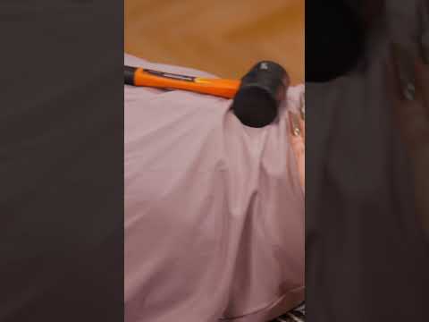 Extreme deep tissue & hammer therapy for Roxy | intense body reaction #chiropractic