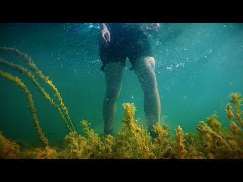 ASMR, Under Water Sounds
