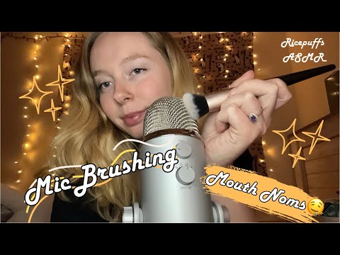 Mic Brushing w/ Close Mouth Sounds🎙️