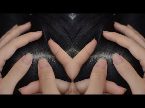 ASMR Scalp Check, Scalp Scratching, Hair Scratching Real Person For Deep Sleep ( No Talking )
