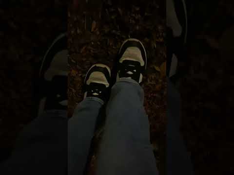 ASMR - Crinkling Leaf Sounds! 🍂 #asmr #shorts #relaxing  #relaxingsounds