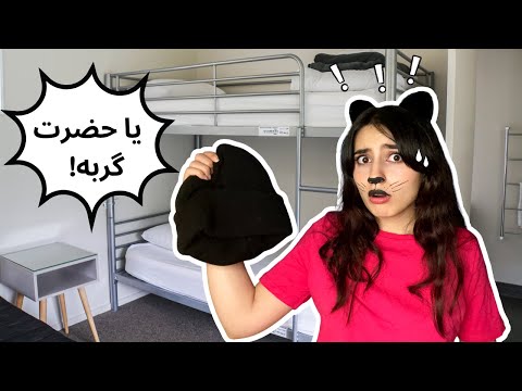 به دنیای گربه ها خوش اومدی!😺❤️|Persian ASMR|ASMR Farsi| ای اس ام آر فارسی ایرانی|Neko role play