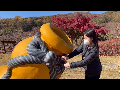 ASMR at the park 🍁🍂 Outdoor 100+ Triggers / Tapping , Scratching , Tracing