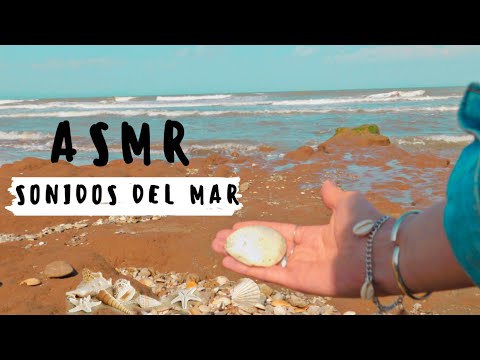 ASMR SONIDOS DE LA PLAYA| Meditacion guiada| ASMR SONIDOS RELAJANTES Swwet asmr