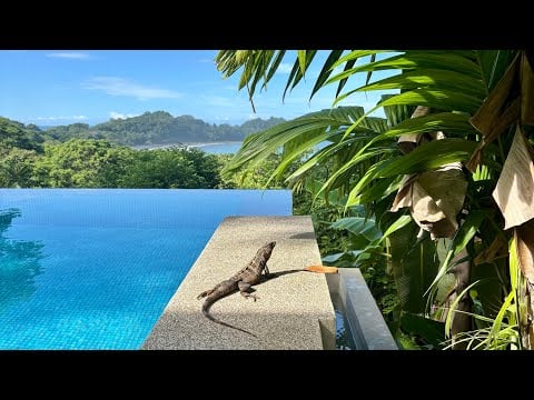 ASMR Whisper Ramble | Trip to Costa Rica | gum chewing
