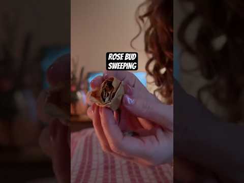 Gently sweeping your root chakra with dried roses. #oddlysatisfying #relax #stressrelaxation #asmr