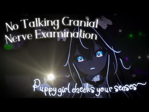 Ghost Puppy Gives You a No-Talking Cranial Nerve Examination~ | VRChat 3Dio ASMR