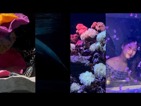 Juna - New Seoul York (Official Visual Video)
