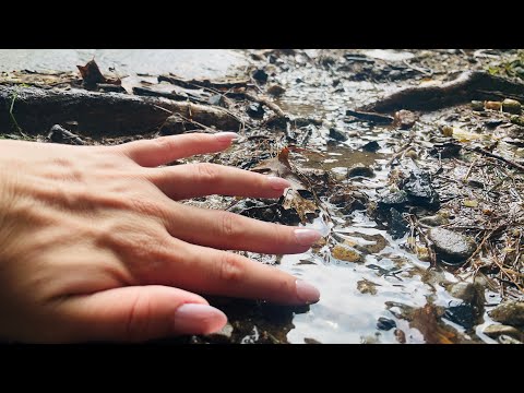 ASMR! 💤 Sleepy Tingles After Thunderstorm ⛈️🌀