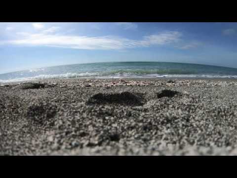 ASMR Waves on the Beach in 4K