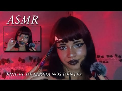 ASMR PINCEL SEREIA NOS DENTES + PINCEL NA TELA com SONS DE BOCA INTENSOS