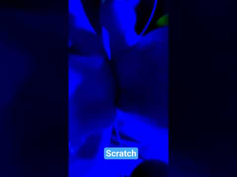 ASMR Scratch...Sk #asmr #asmrvideo #scratch #relax