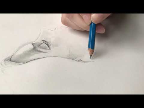 (lo-fi ASMR) draw with me (part I)