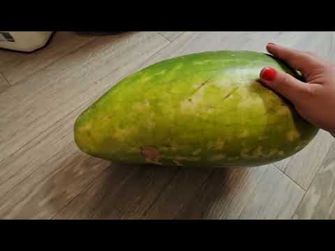 California Grocery Haul ASMR