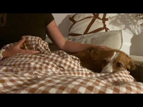 ASMR ✨ - comforting Polly during a heavy thunderstorm 🌩️ 