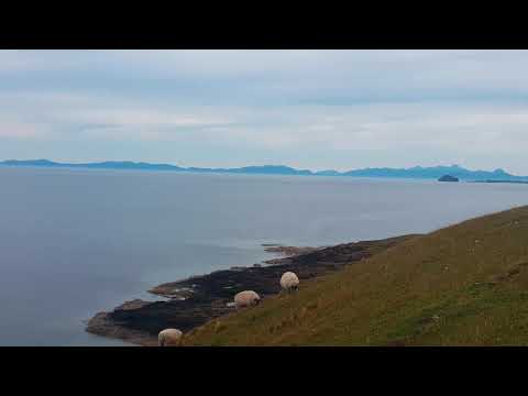 ASMR | Wind 🍃 Sound | Peace ✌😌