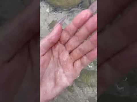 Long time no see all 💖 #nature #asmr #natureasmr #relaxingasmr #relax