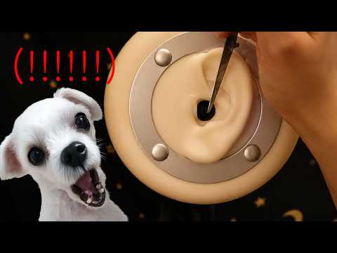 ASMR 한때 강력하게 추구했던 소리들입니다.. 귀청소 (노토킹)