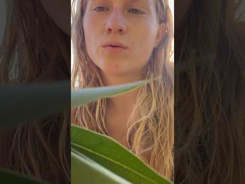 Nature asmr #ForYou #TrendingNow #InstaReels #ViralVideo #DailyShorts #Entertainment #FYP #asmr