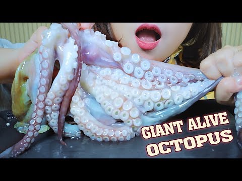 ASMR EATING ALIVE GIANT OCTOPUS WITH SPICY SAUCE EATING SOUNDS | LINH-ASMR 먹방