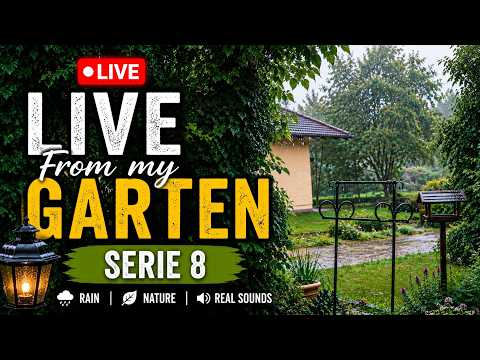 🌧️ LIVE Heavy Rain from My Garden | Real Rain Sounds for Sleep, Relax & Study