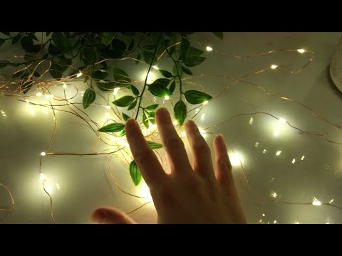 ASMR - ✨ Tapping on Objects Around My Room (LOFI) ✨