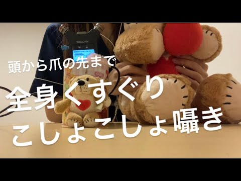 ASMR 全身くすぐり、こしょこしょ囁き