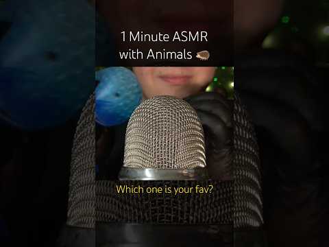 1 Minute ASMR with Animals! 🩵 #asmr