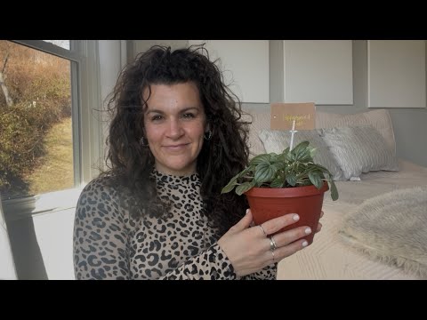 ASMR: Whisper Ramble Apple Mic Show & Tell: My Plants