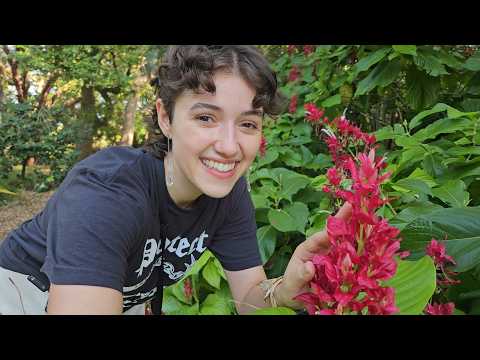 ASMR Outside in a Tropical Garden 🌿 (lofi, tapping & scratching, chaotic whispers, nature sounds)