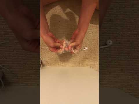 Screen protector ASMR