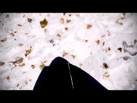 ASMR walking in the snow deeply relaxing sounds part 2