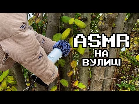 10 ТРИГЕРІВ ЗА 2 ХВИЛИНИ / АСМР На Вулиці + Звуки природи 🌳☁️