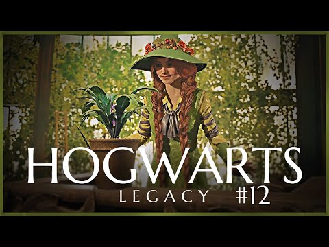 Hogwarts Legacy - Episode #12 | Gameplay with Soft Spoken Commentary