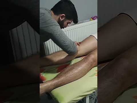 ULTIMATELY RELAXING MASSAGE FOR THE FRONT LEGS #satisfying #relaxing #asmr #shorts #massage
