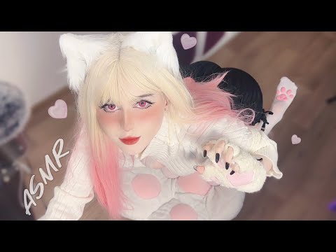 Fluffy Cat Trying ASMR 🐾