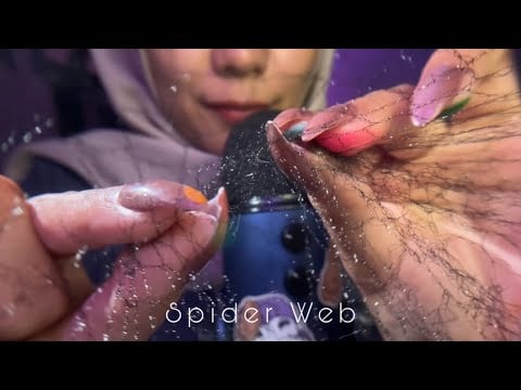 ASMR SpiderWeb without Echo 🕷️🕸️