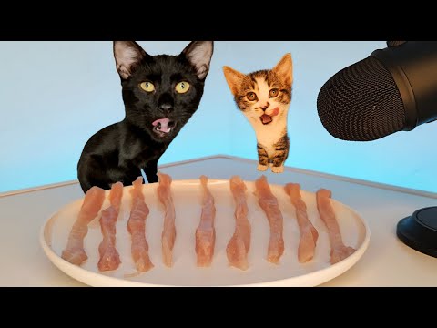 Kitten & Cat Eating Chicken Challenge ASMR