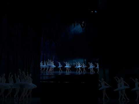 ASMR  Swan Lake ballet with water sounds #asmr #water
