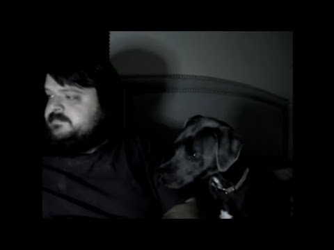 Good Boy ASMR