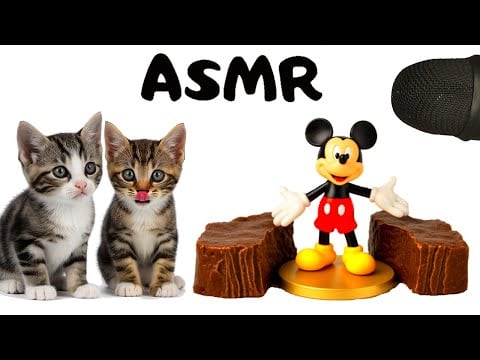 Tiny Kittens Eating Wet Cat Food ASMR 🐾 | So Satisfying & Cute!