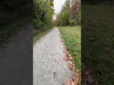 Crunchy bouncy fall walk.