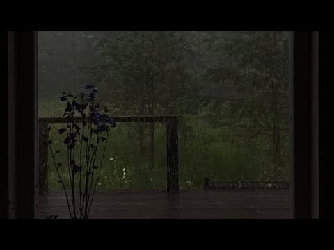 1 HOUR Intense rain from inside. You are in a cozy cabin in the wood. Relaxing sounds for sleeping
