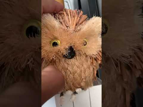 ✨ 2 minutes of simple gentle ASMR ✨ Relaxing Tingles 💖